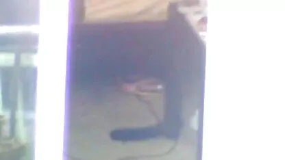 Squat Girls geeft een porno oma hotel man een pijpbeurt