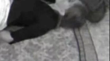 Kimberly fox oma animal sex
